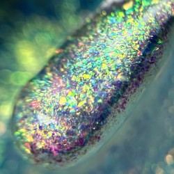 Glitter Builder Gel F16 30ML  Hema Free