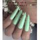 Gelpolish 891 15ML