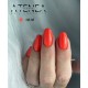 Gelpolish 1010 15ML