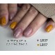 Gelpolish LR37 15ML