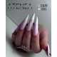 Gelpolish 1109 15ML