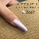 Gelpolish Z667  15ML